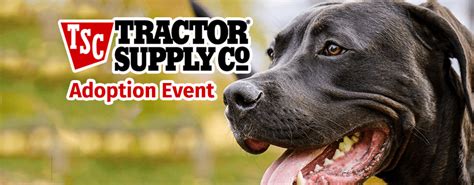 Attend Tractor Supply Animal Swap